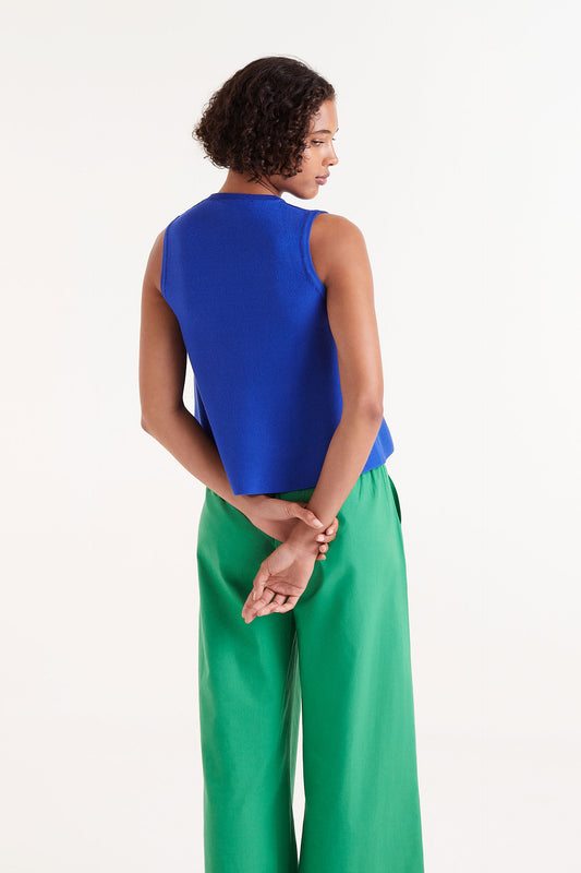 Blue Sleeveless Flared Top