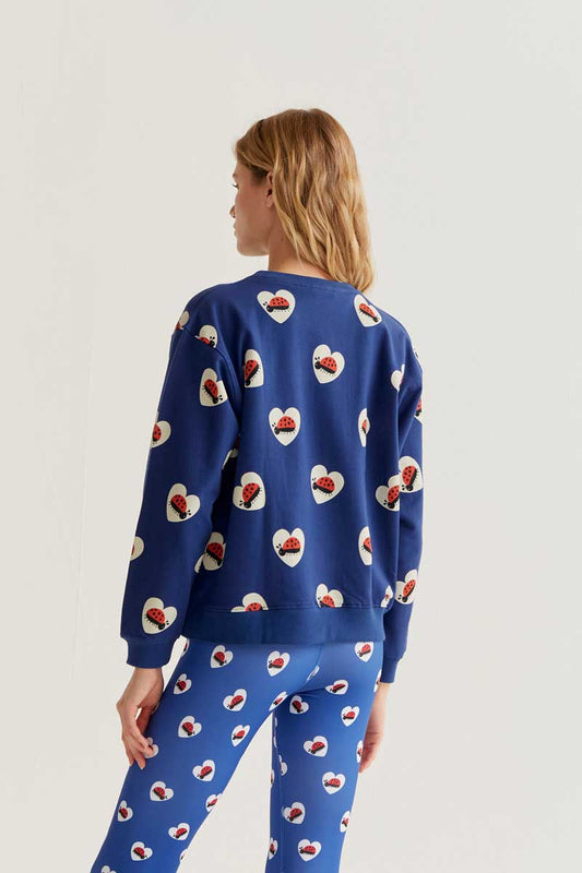 CF Dark Blue Jumper with Ladybirds