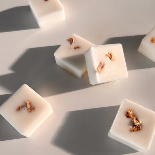 Ginger & Green Tea - 12 Botanical Soy Wax Melts