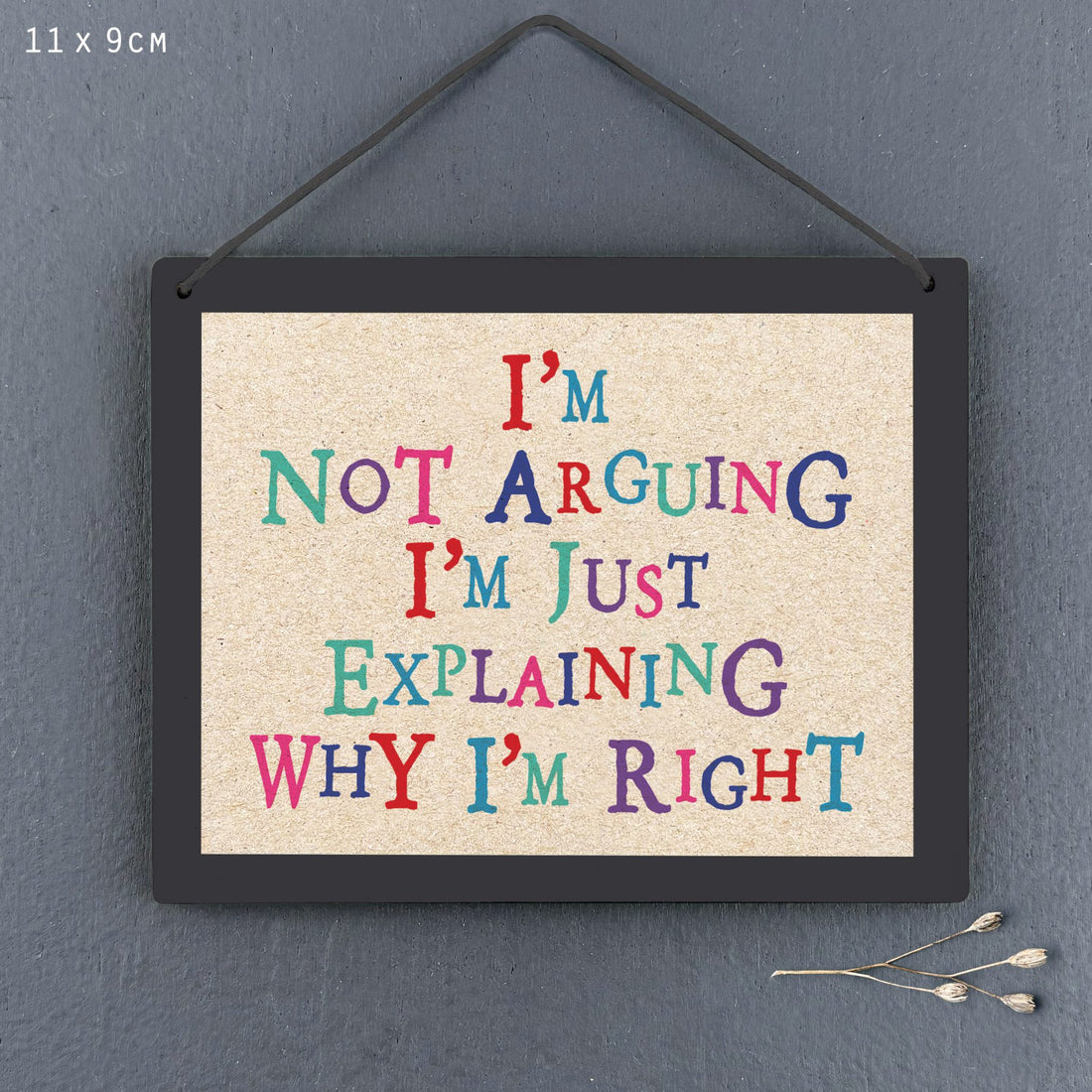 Sign-Not arguing, just explaining why I’m right – Shine Boutique