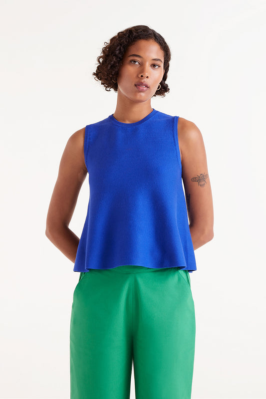 Blue Sleeveless Flared Top