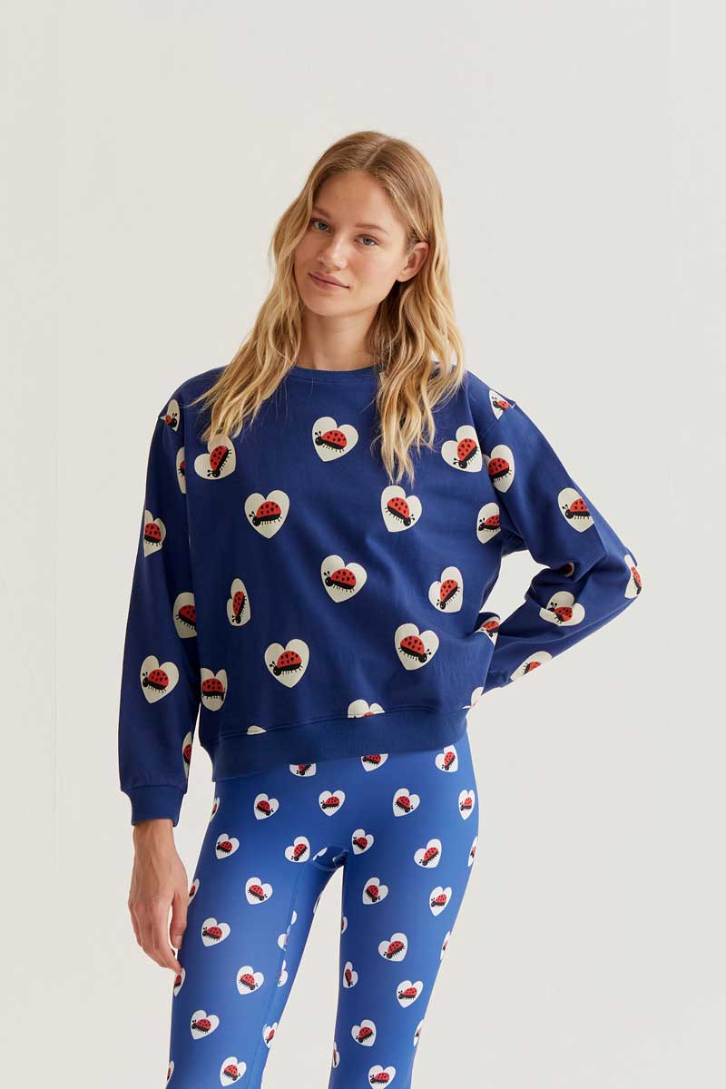 CF Dark Blue Jumper with Ladybirds