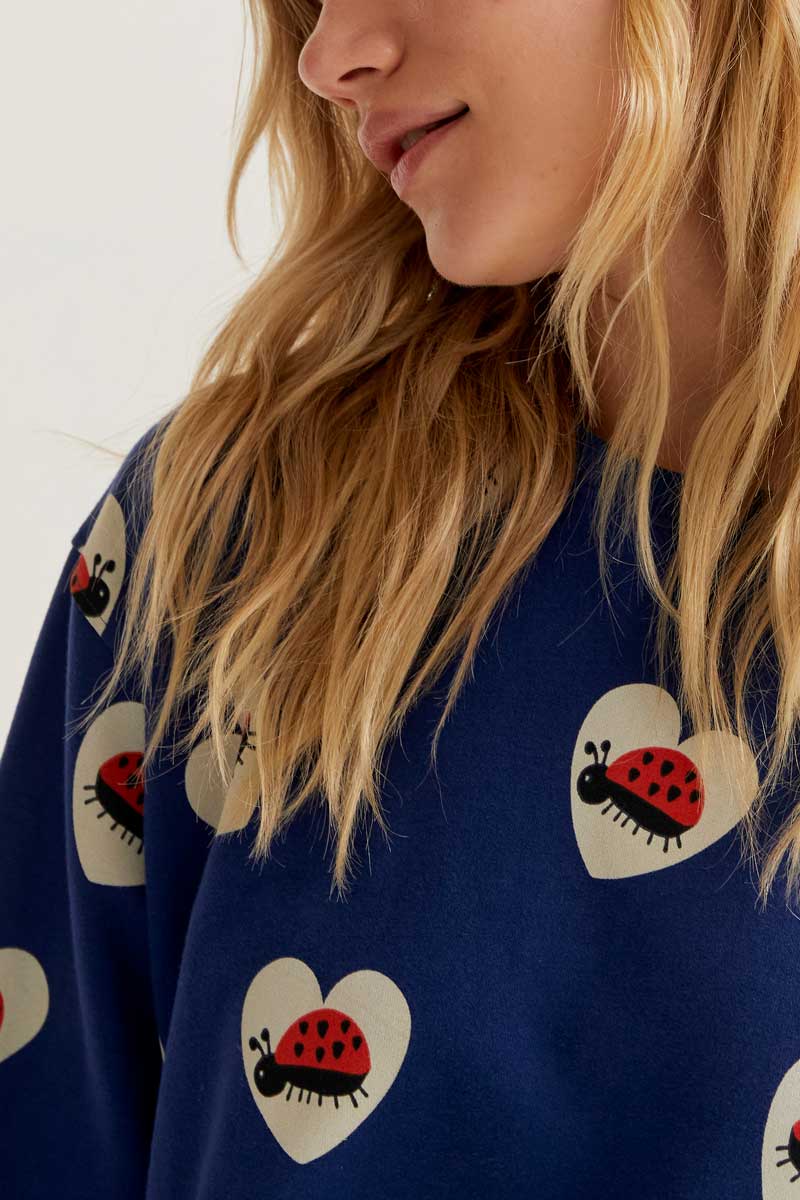 CF Dark Blue Jumper with Ladybirds