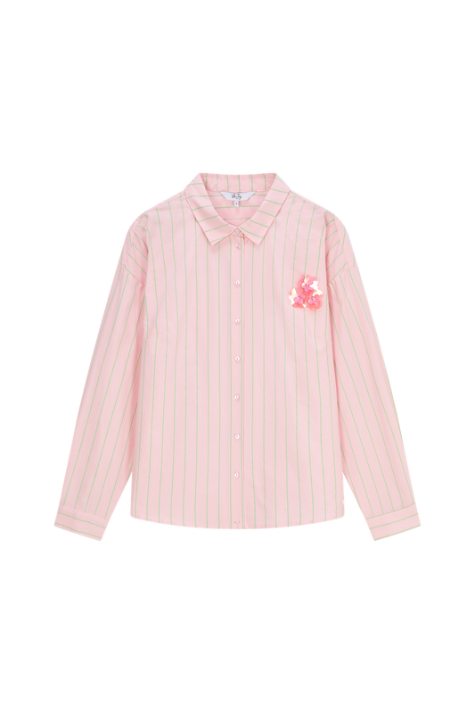 Antonia-L-22-G Pink Shirt with Green Stripes
